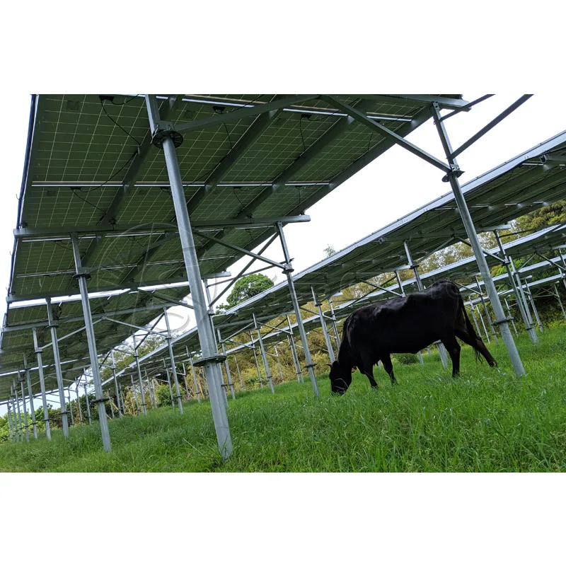 Solar Agriculture PV Mounting Bracket Photovoltaic Greenhouse And Agricultural Mounting System Solar Farm Solar Panel Farm