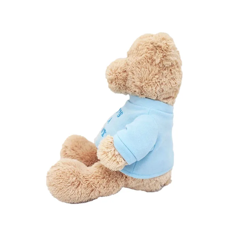 Promotional Gifts Kids Plush Bear Soft Toys Branded Custom Logo Teddy Bear With T-shirt Wholesale Factory Teddy Bear