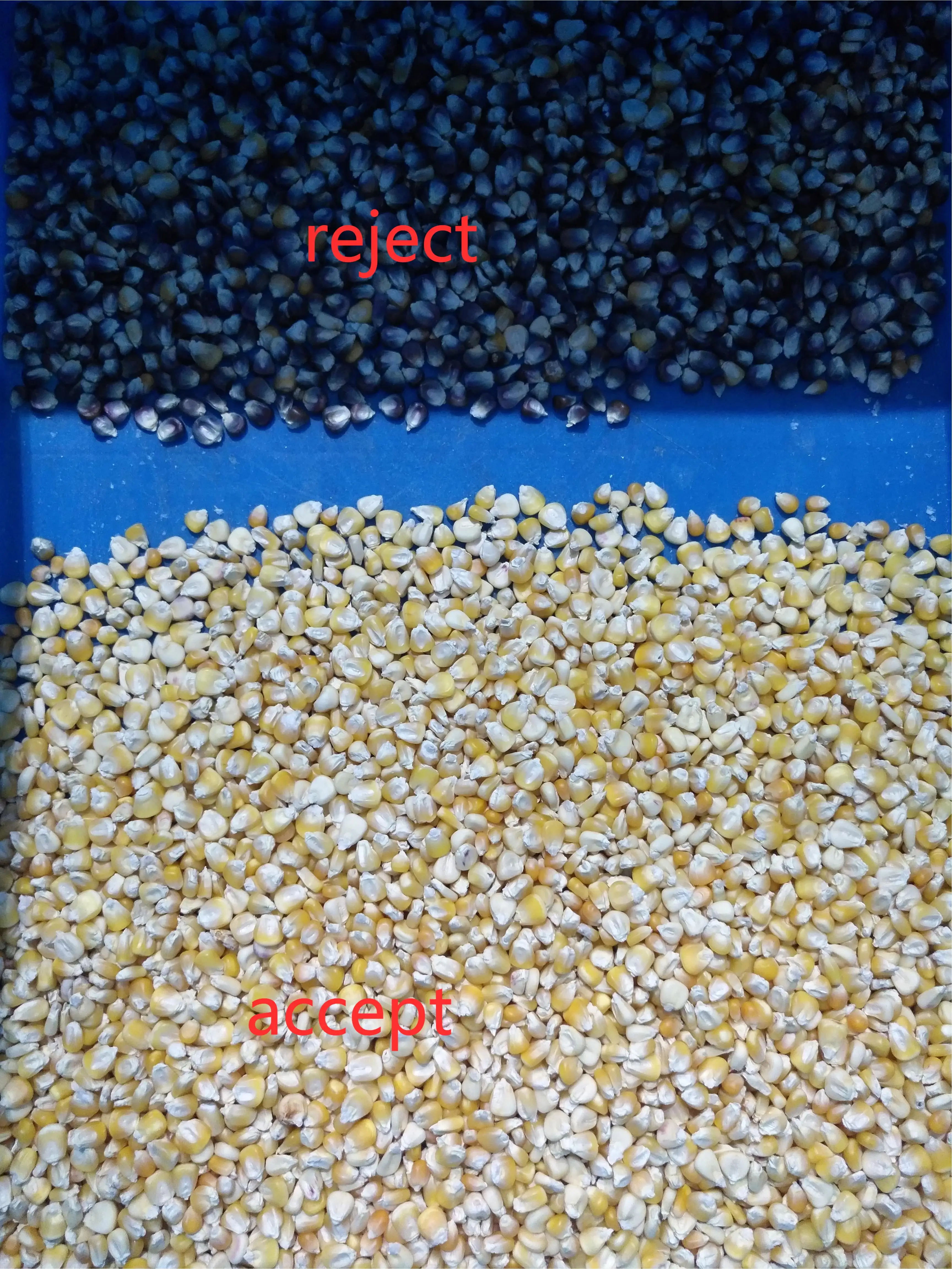 Most Popular Mini Color Sorter Corn Color Sorting Machine Buckwheat Wheat Rice Corn Processing Cleaning Machine