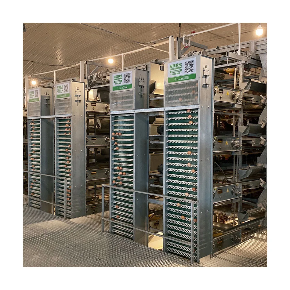 Распродажа клетка для кур типа H птицефабрик Гана по низкой цене