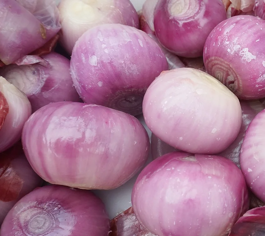 Automatic Onion Potato Taro, Mango,Peach, Grape Steam Peeler Machine Plant Process Line Machine
