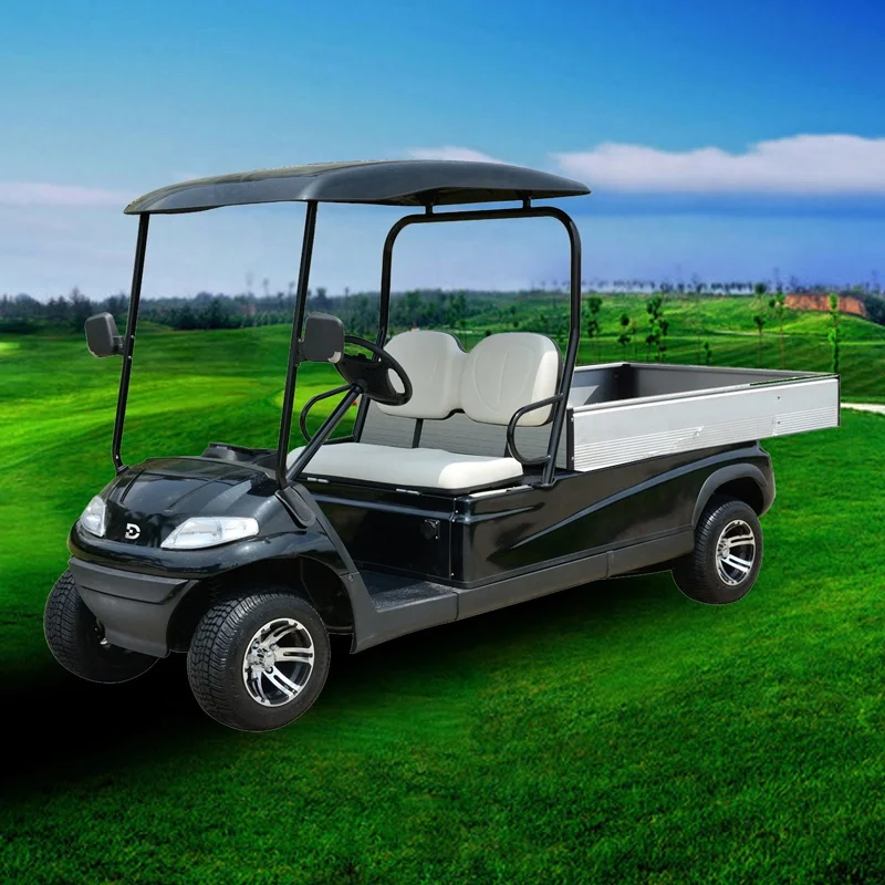 New Style 2 Seater Battery Cargo Vehicle (DC-A827. H8)