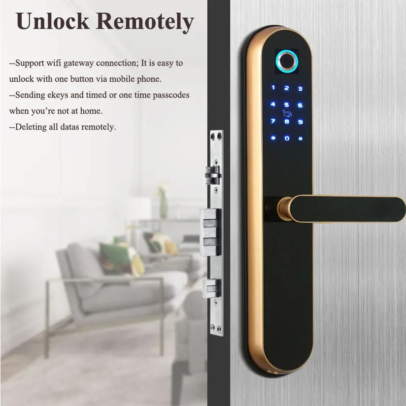 Factory price  ttlock app remote wifi ble electric smart security door lock