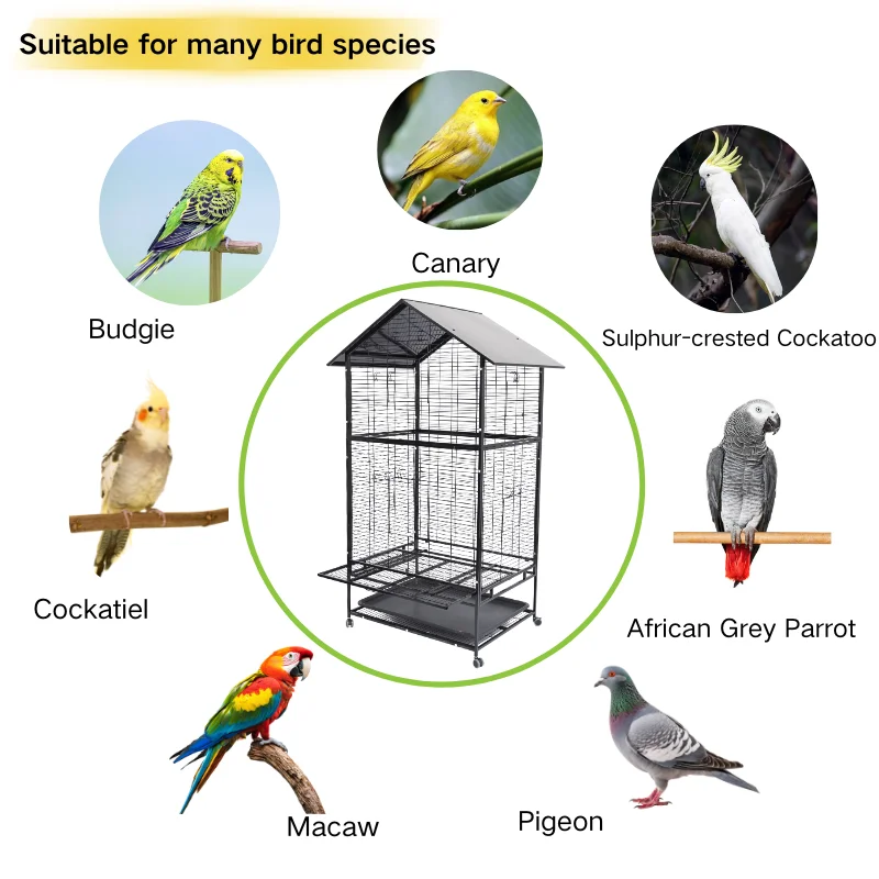 Wholesale Large Metal Birdhouse Movable Universal Wheel Wire Parrot Cage, Spacious Metal Bird Cage Parrot Cage