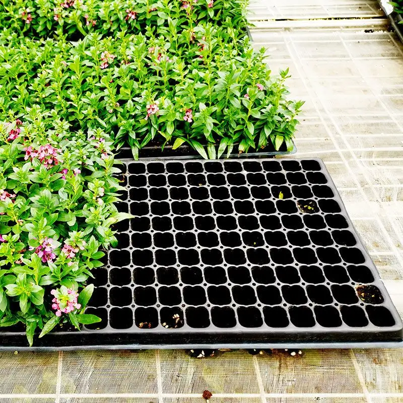 XZ105 Polypropylene Hard PP Plastic Tree Seedling Tray 105 Holes Plants Growing Tray 535 x 266 x 60 mm