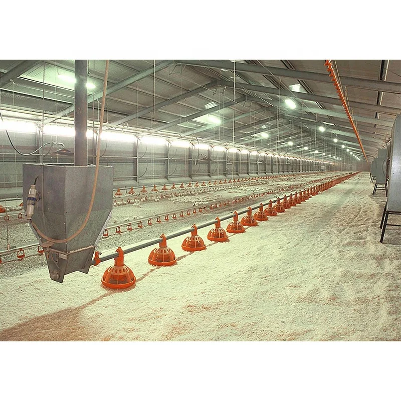 Poultry farming / Poultry Barns & Commercial Chicken Houses with steel sheet panel