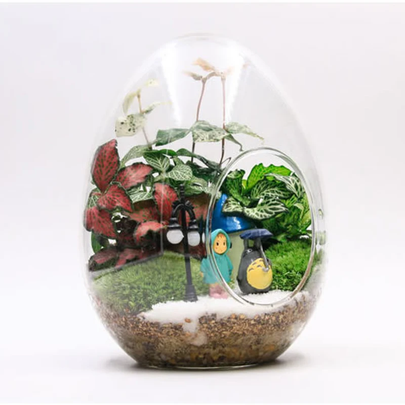 Mini Succulent Glass Vase DIY Micro Landscape Holder Planter Flower Vase Home Office Desktop Hanging Decorations Garden Supply