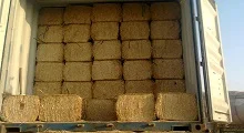 Fresh Dried Wheat Straw Hay For Wholesale price to South Korea/Chopped Wheat Straw Bales in Standard Packaging from Pakistan