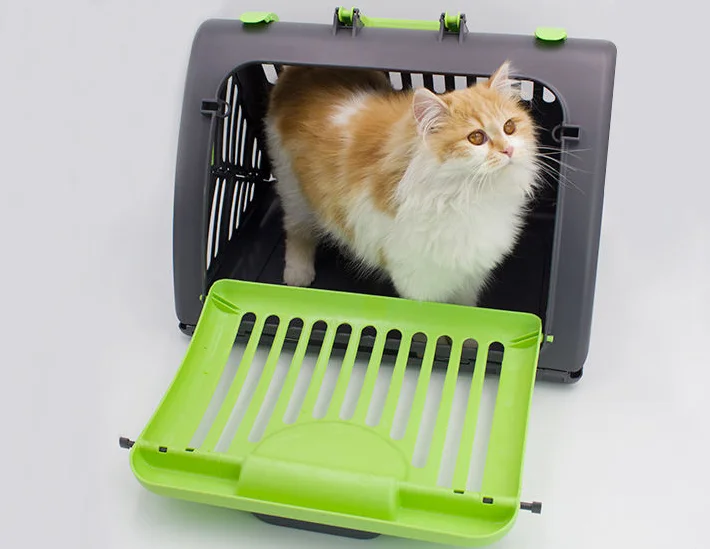 
Multi Function Pet Box Customized color Unisex 