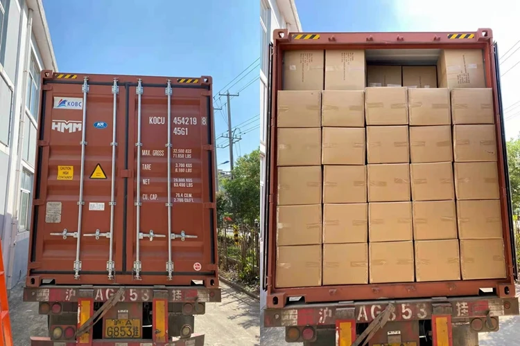 stuffed Vegetables toys