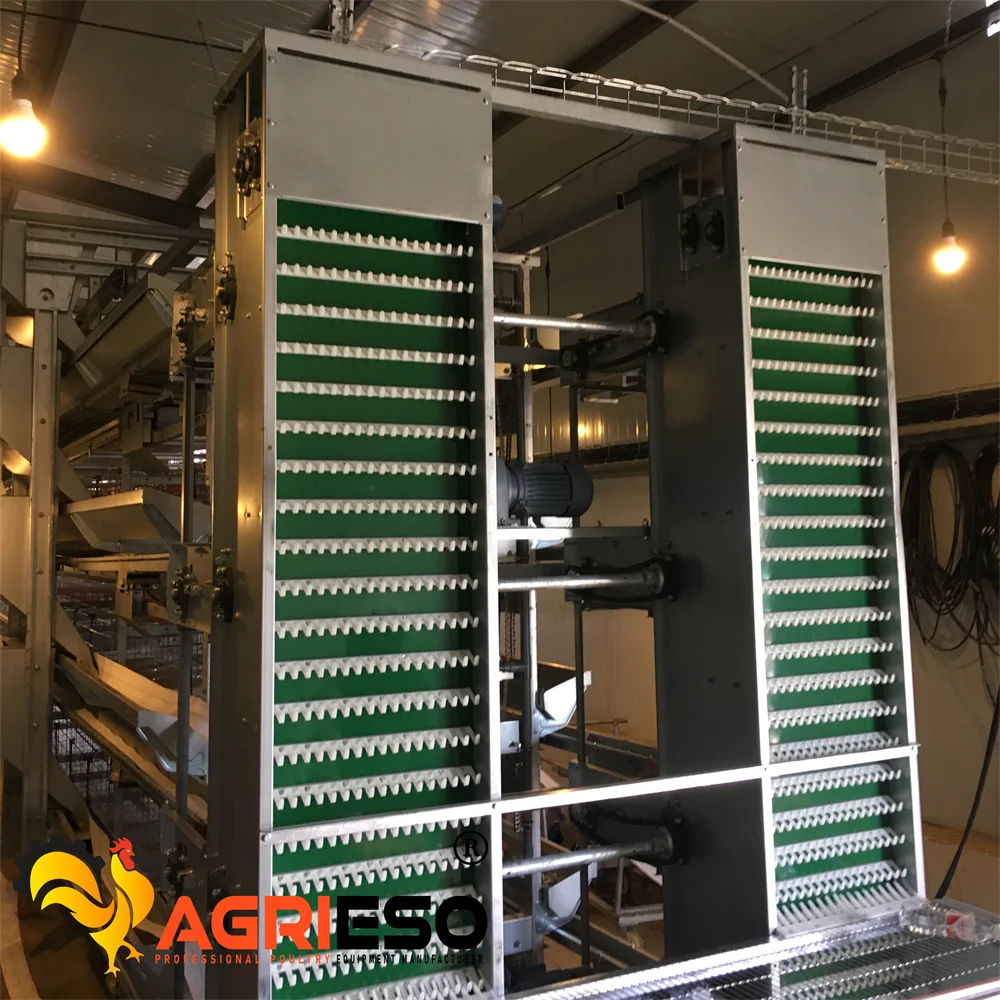 Agrieso Chicken Farming/Farm Equipment/Machine Broiler Layer High Rate Baby Chicken Cage