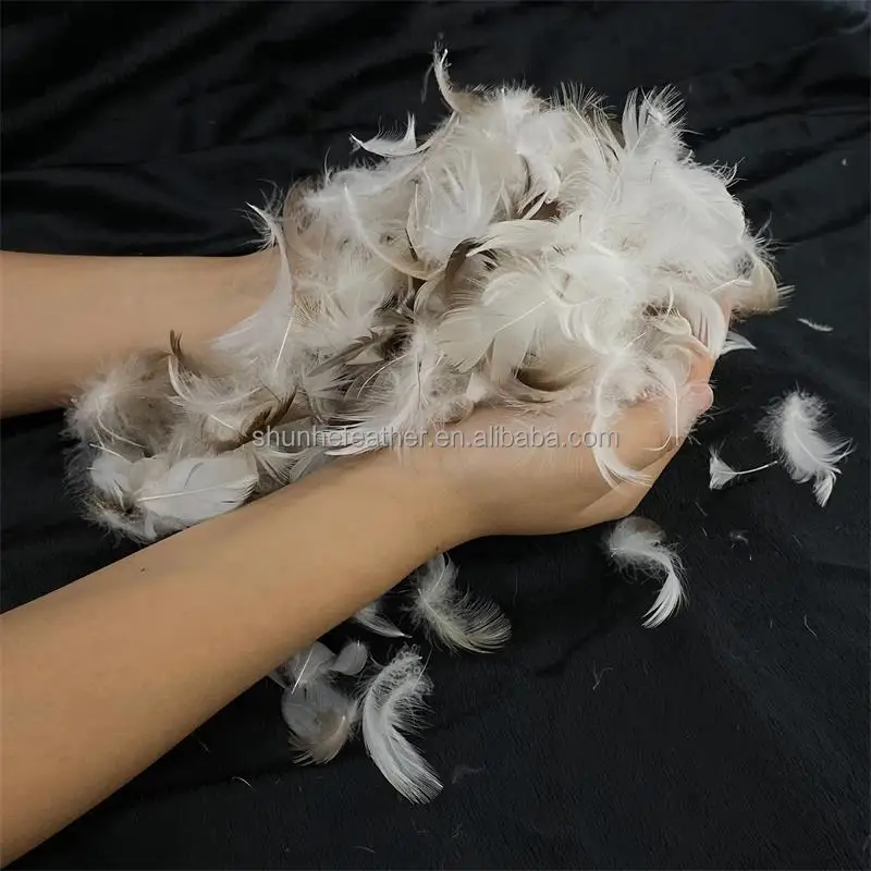 5-8CM Washed Grey Feather IDFL Standard Filling Material