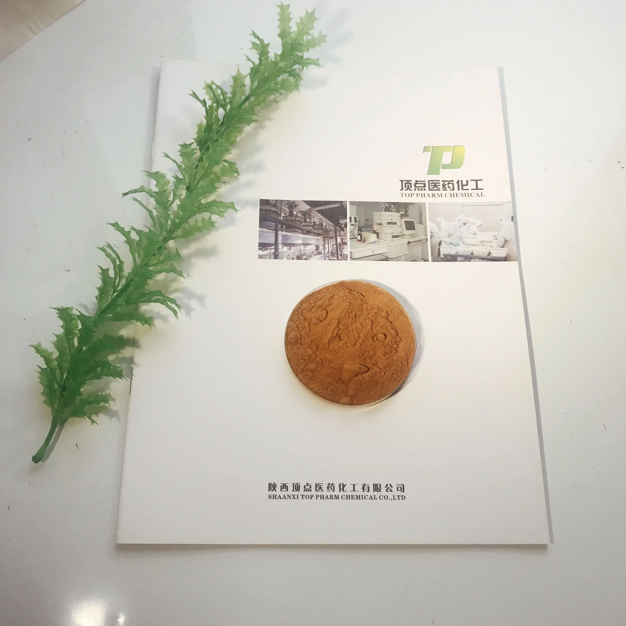 
Organic Theaflavin instant Polyphenols black tea extract powder 