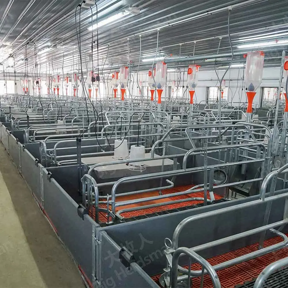 Pig Farrow Cage Double Pig 500MM Pen Factory Direct Sale Pig Farrowing Pens with Complete Maternity System