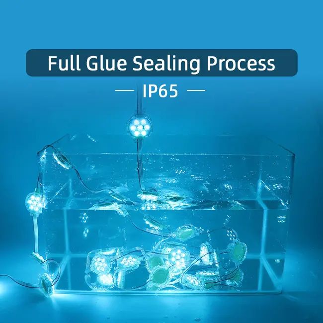 Amusement Ip65 50Mm Addressable Smd5050 Pixel Waterproof Rgb Module 24V Led Point Lights