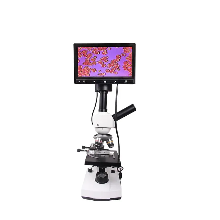 Veterinary Display With Lcd Screen Digital And Medical Electronic Binocular Microscope (1600371239147)
