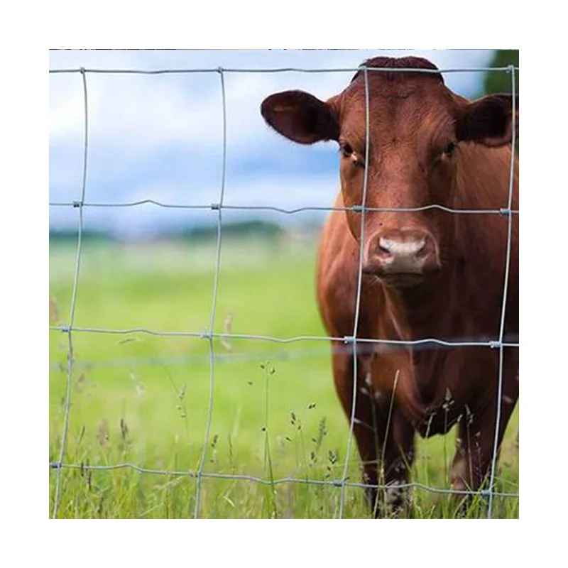 Low Price Galvanized Fixed Knot Wire Mesh Farm Fence For Goat Cow And Sheep