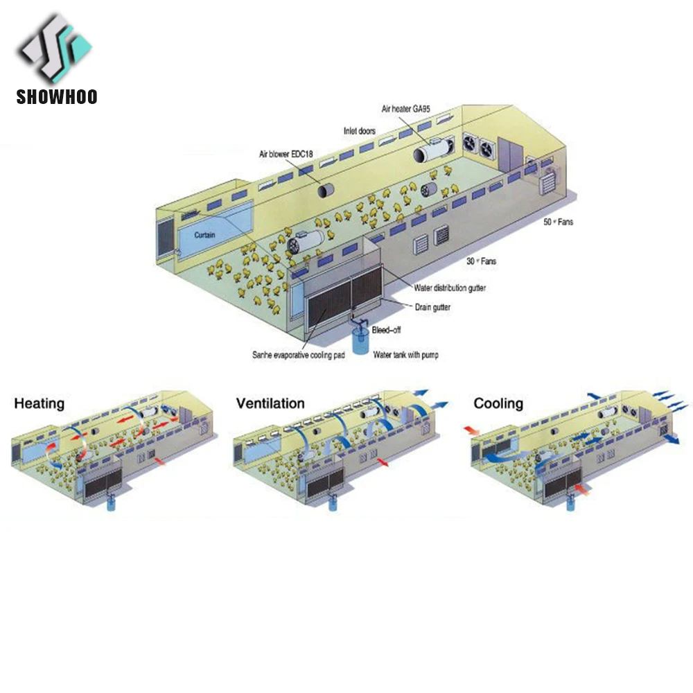 Frame Light Steel New Design Cheap Modern Chicken Poultry Farm Chicken House Certificate Steel Mesh or Sandwich Panel 5 Years