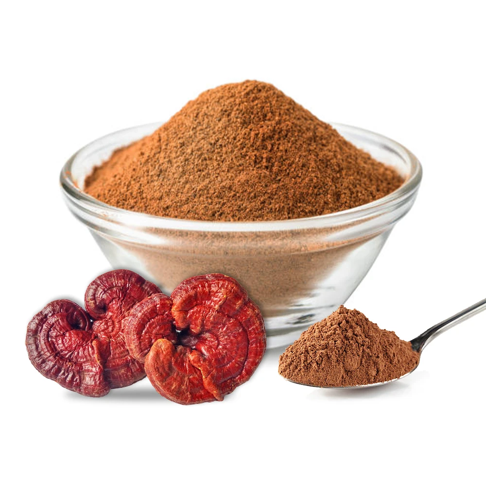 juncao planted ganoderma lucidum reishi  extract powder with polysaccharides 30% triterpenes 2% OEM