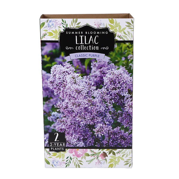 China professional carton supplier customized hot sale high quality kraft paper corrugated box shoe box