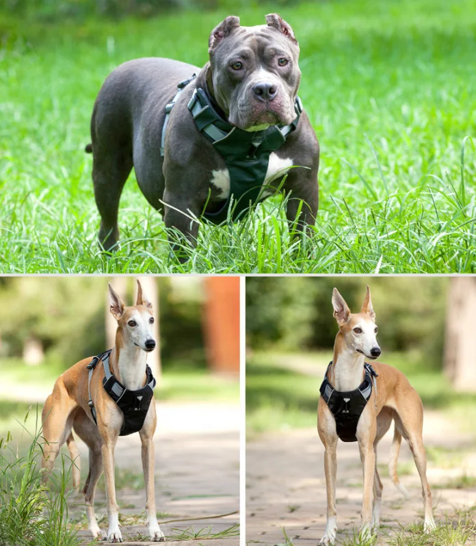 Dog Harness No Pull Pet Reflective Nylon Vest Soft Breathable Mesh Padded No Pull Dog Harness Set for Small Medium Large Dogs