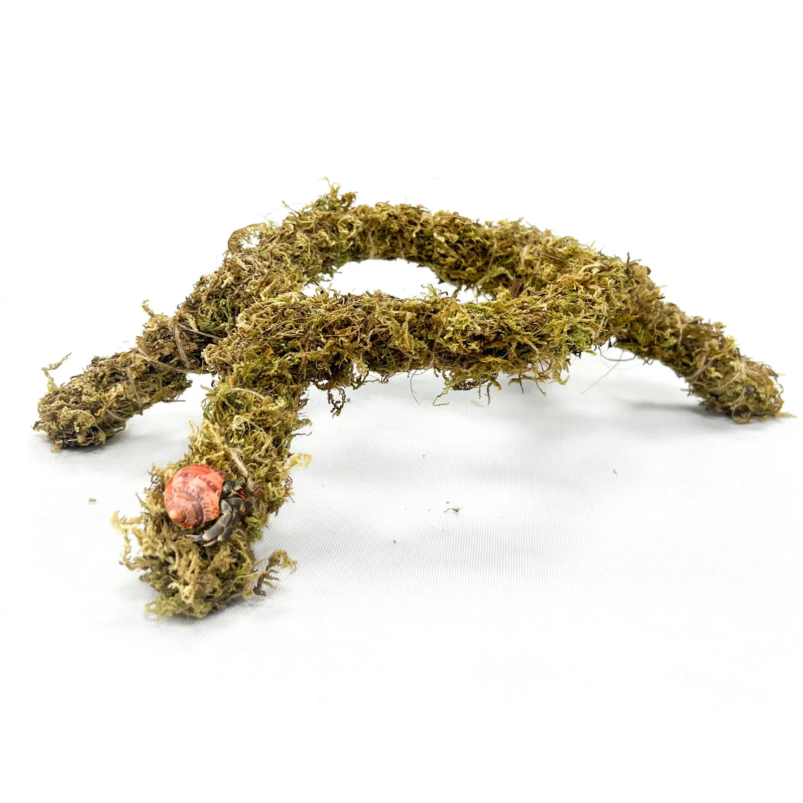 Moss-Covered Four-Legged Rack, Ideal Playground for Aquatic Creatures and Hermit Crabs