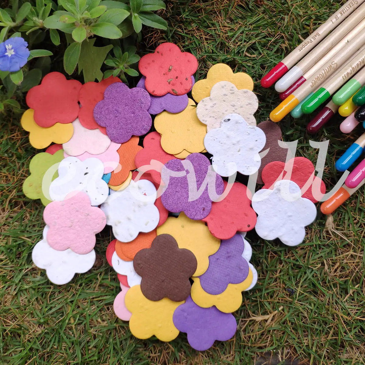 Plantable Seed Paper Shape Confetti  with Botantical Verb Veggie Flower Seeds