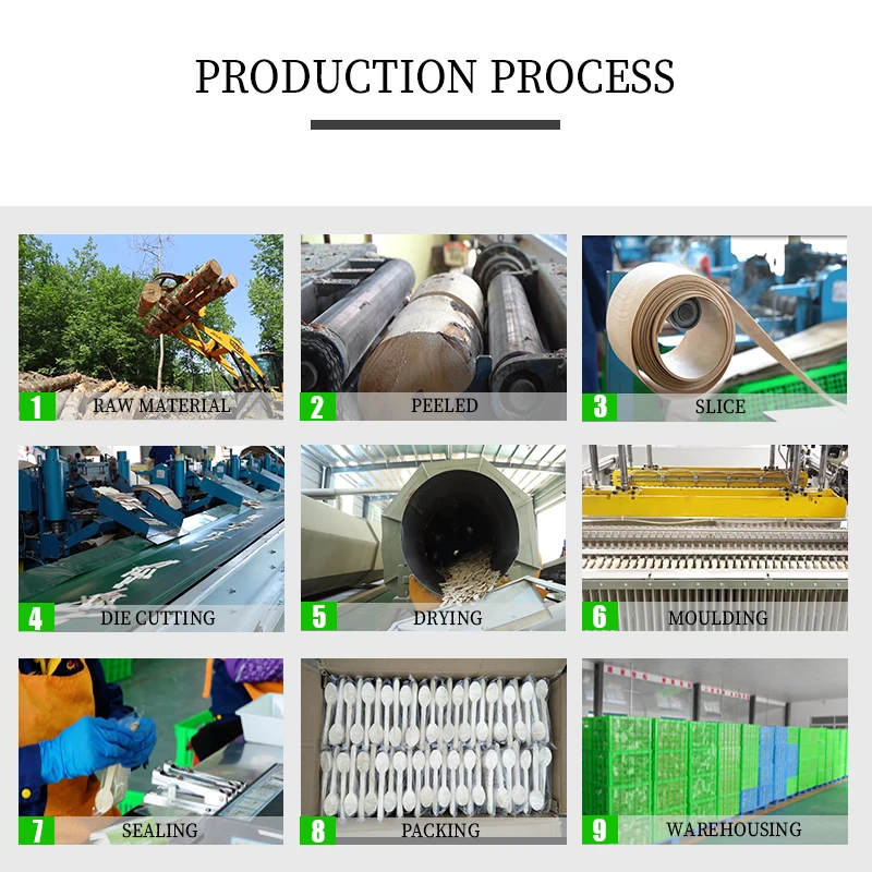 China supplier natrual bio degradable cheap edible ice cream wooden spoons