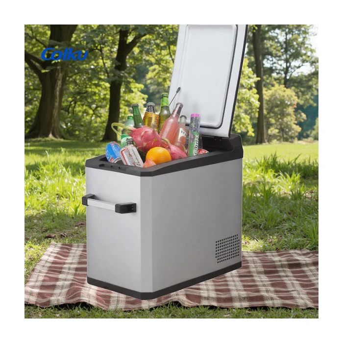 High Quality 42L Picnic Freezer Beach Refrigerators 12V 24V Portable Fridge with Panel