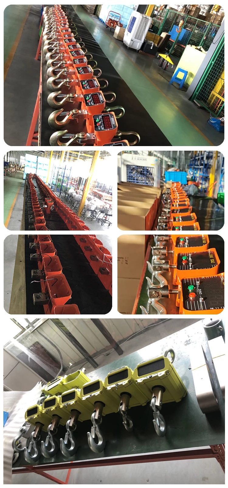 crane scale (1)