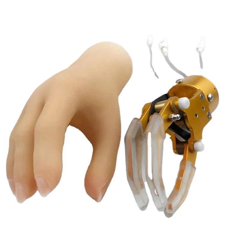 Artificial Limbs One Degree Freedom Myoelectric Control Hand Prostheses Prosthetic Hand