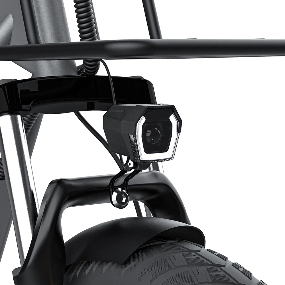 EU US UK Stock COSWHEEL M20 48V 1000W Ebike Customize 36V 250W Electric City Bike High Quality China Manufacturer Fat Tire eBike