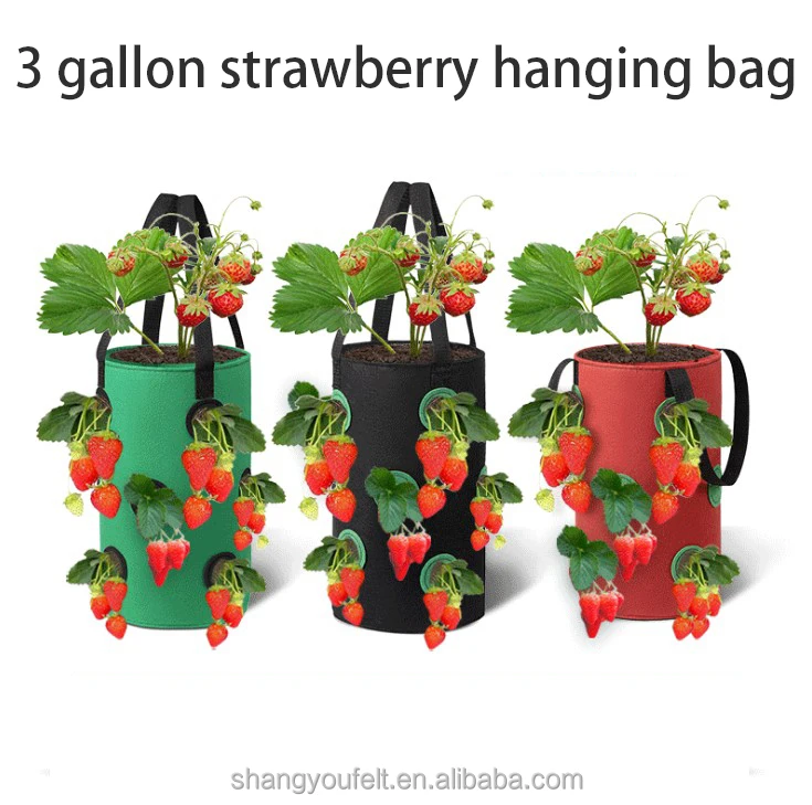 
Strawberry Planter Bags For Growing Potatoes Outdoor Vertical Garden Hanging Open Vegetable Planting Grow Bag 