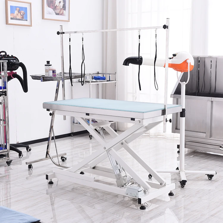 Electric Pet Dog Grooming Table with LED Grooming Table Veterinary Grooming Table