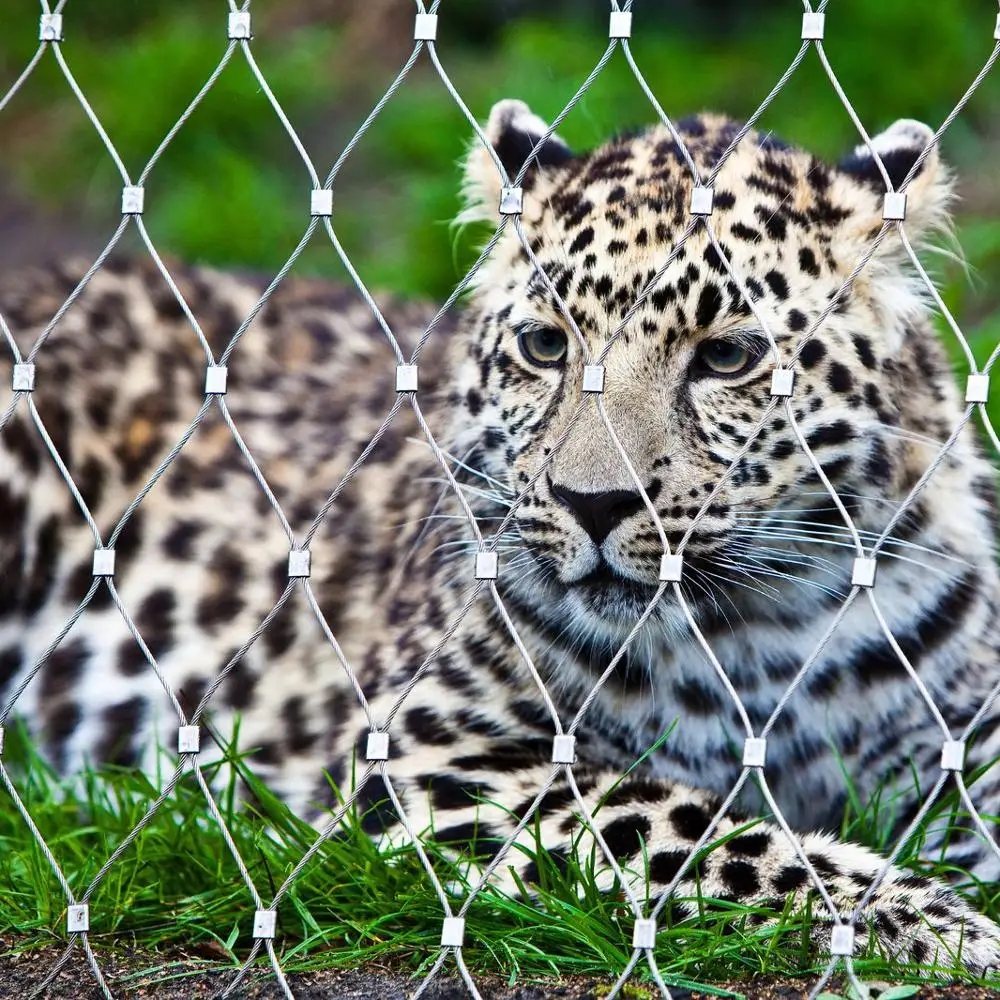 Сетка из нержавеющей стали для зоопарка