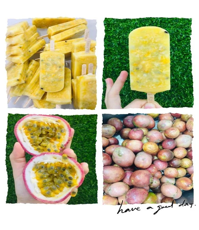Freeze Automatic Commercial Small 6 Molds Ice Pop Cream Lolly Fruit Popsicle Making Machine Price