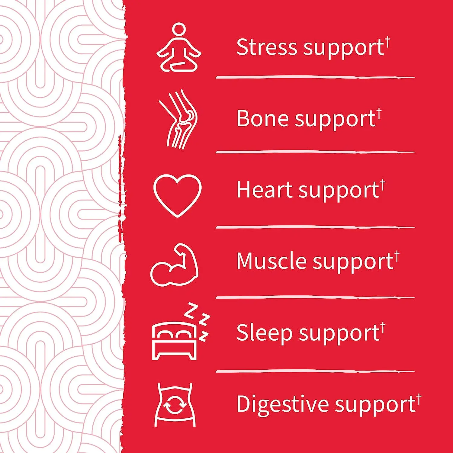 Premium Magnesium Citrate Supplement with Prebiotics & Probiotics for Stress, Sleep & Recovery 60 Chew