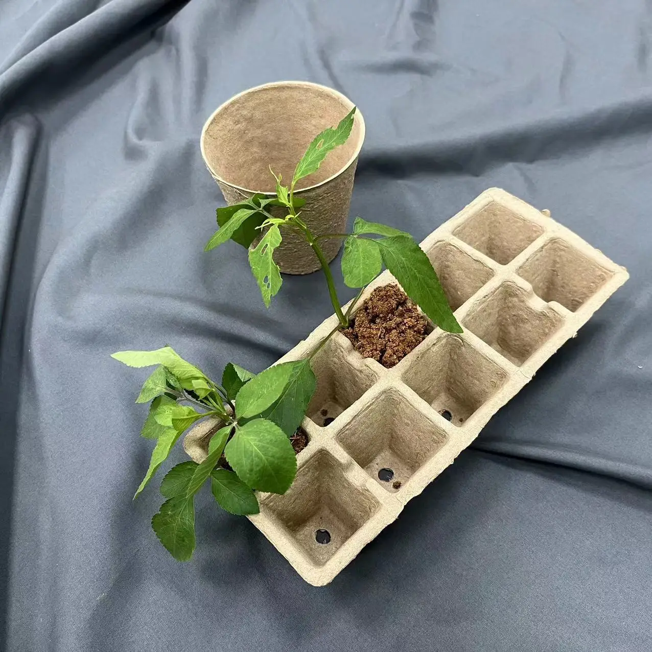 Биоразлагаемая бумажная посевная чашка для садовых растений бумажные горшки рассады Торфяная оптовая продажа экологически чистые