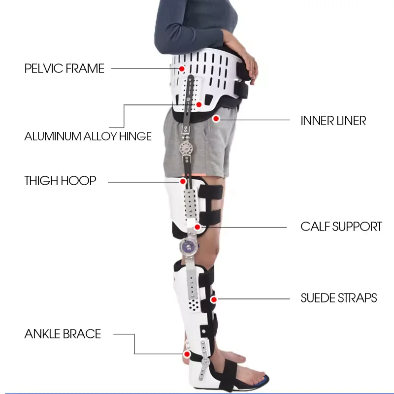 Knee Ankle Foot Fixed Support Adjustable Lower Limb Orthosis Thigh Fracture Support Postoperative Ankle Rehabilitation Device