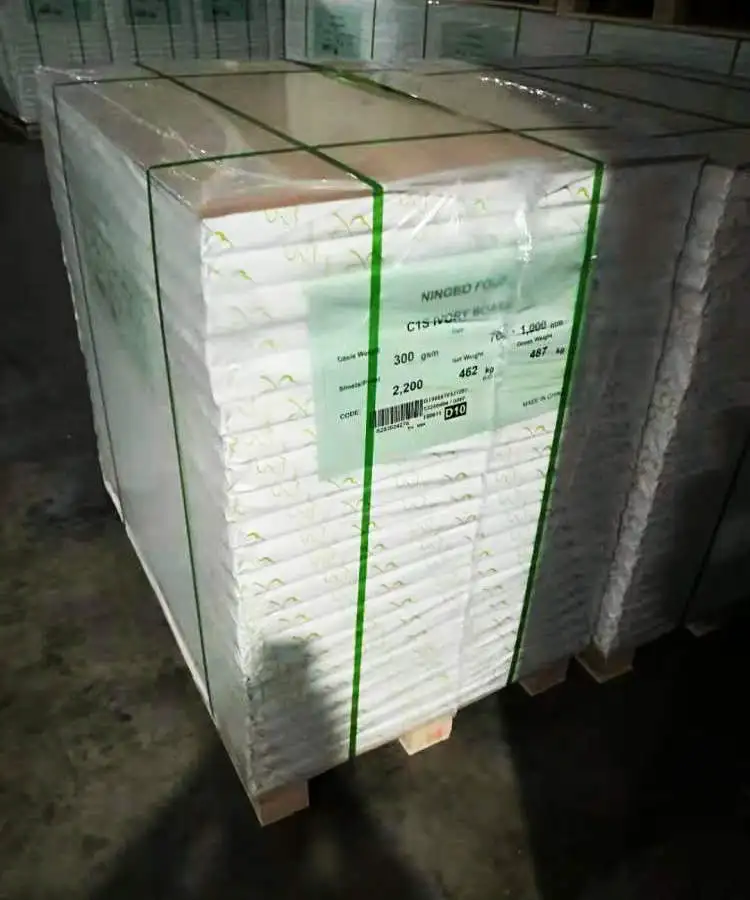 GC1 FBB Ivory board bristol paper board