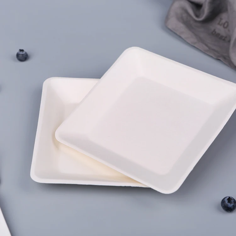 High elasticity High Grade Fruit Fruit Dinner  Biodegradable Fruit Plate