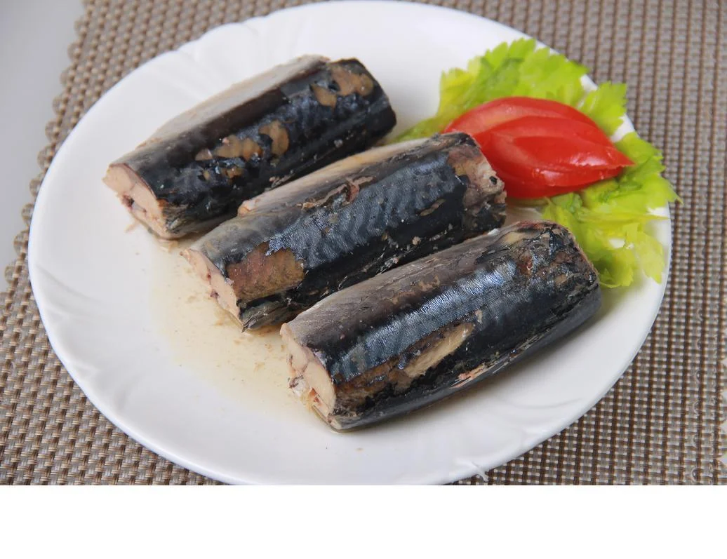 Brine canned mackerel canned mackerel supplier