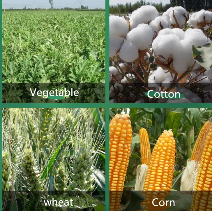 CAS 999-81-5 Wheat Cotton Flower Dwarf Increase Output Pgr Chlormequat 98% TC