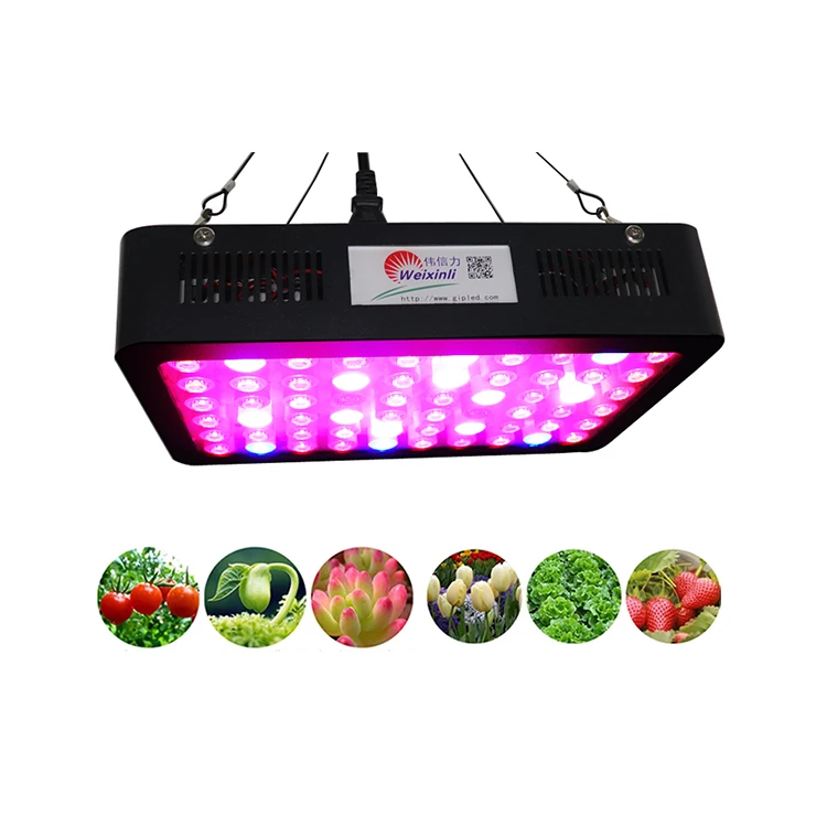 Tomato Lettuce cucumber strawberry celery eggplant sweet pepper Cauliflower Basil growing LED Light