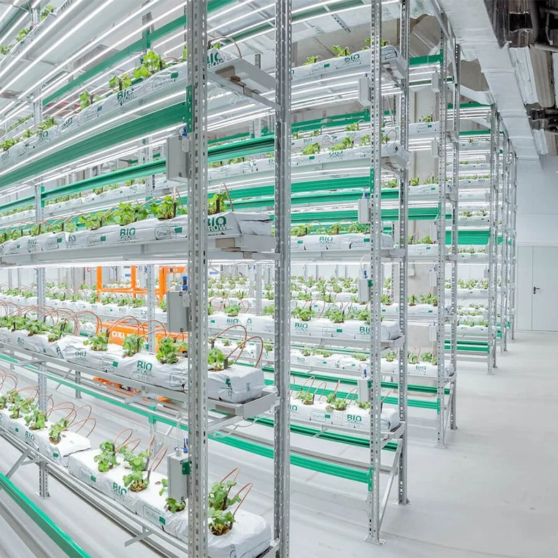 OMANA newly arrived  vertical ecology growing hydroponic vegetable kit system