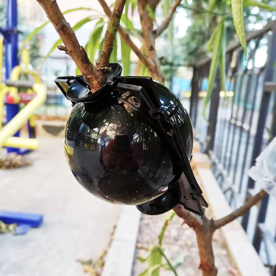 2023 5 pieces plant rooting ball grafting growth tool plant root growing ball box