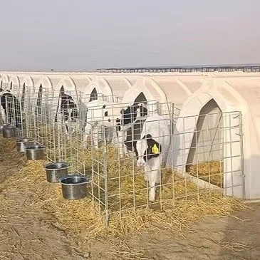 Durable Outdoor Dairy Cattle Farm Plastic House Cow Calf Hutch