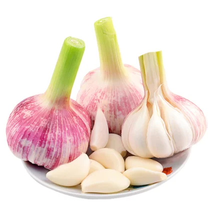 China Fresh Peeled Garlic Cloves Manufacturer Supplier Chinese Peeled Garlic New Crop