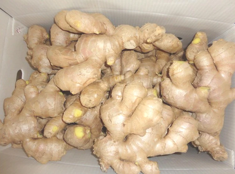 Good quality ginger fresh from China
