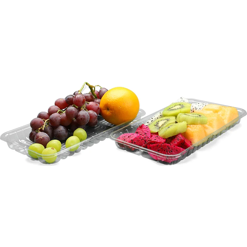 factory  wholesale fruit packing containers  plastic tray  for fruits disposable storage container food